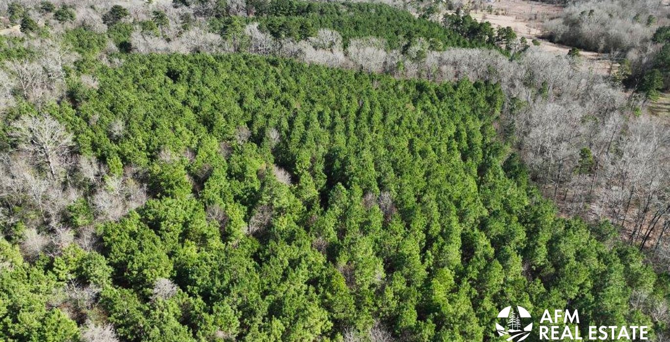 809 DJI 20250201142737 0015 V