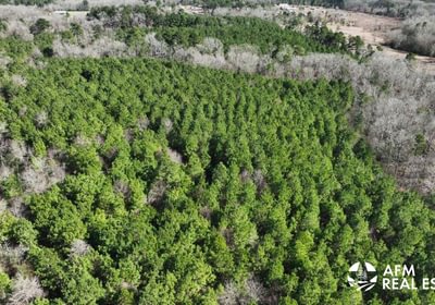 809 DJI 20250201142737 0015 V