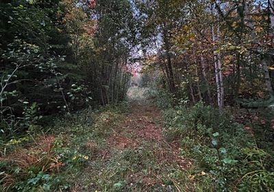 809 IMG 3392