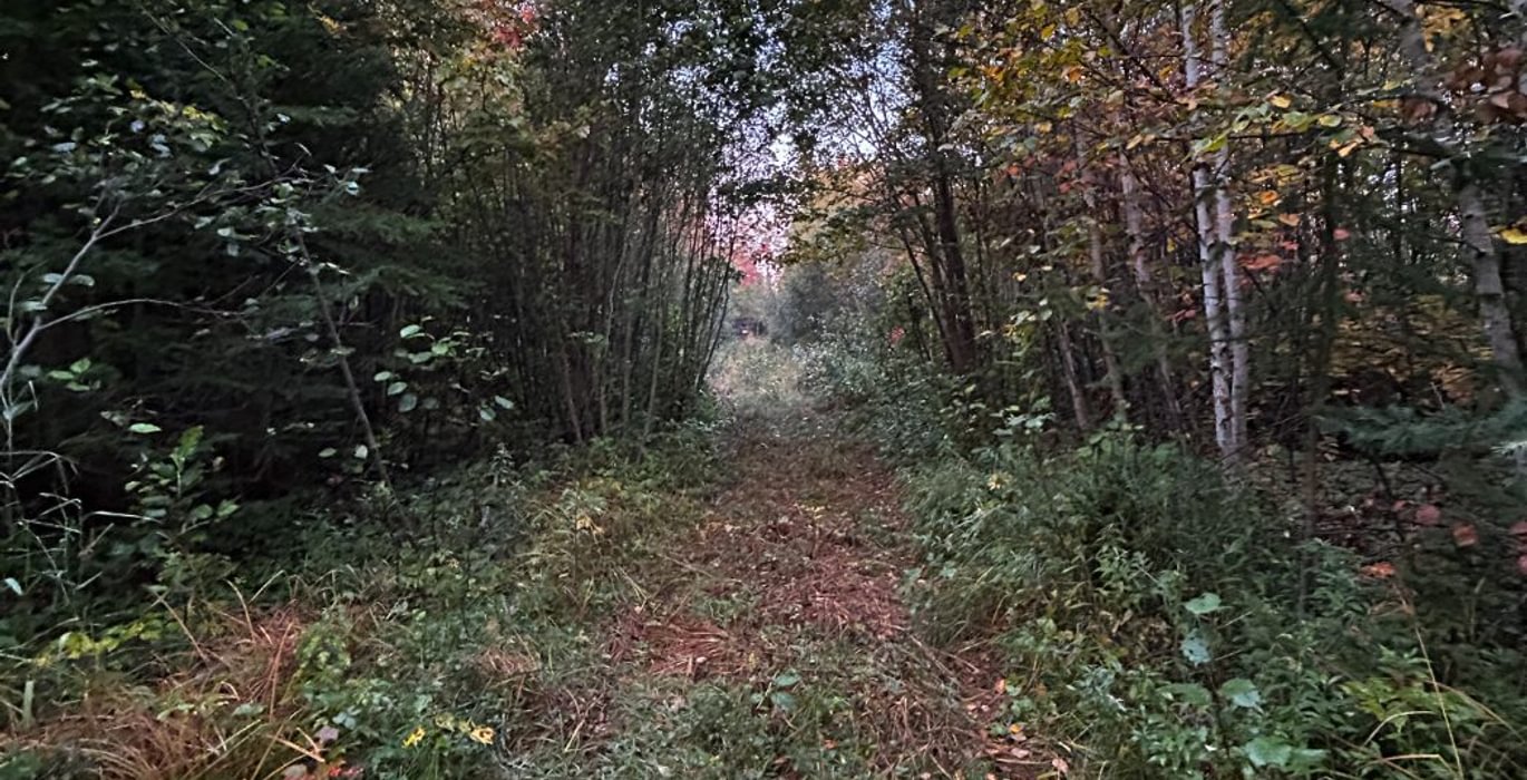 809 IMG 3392