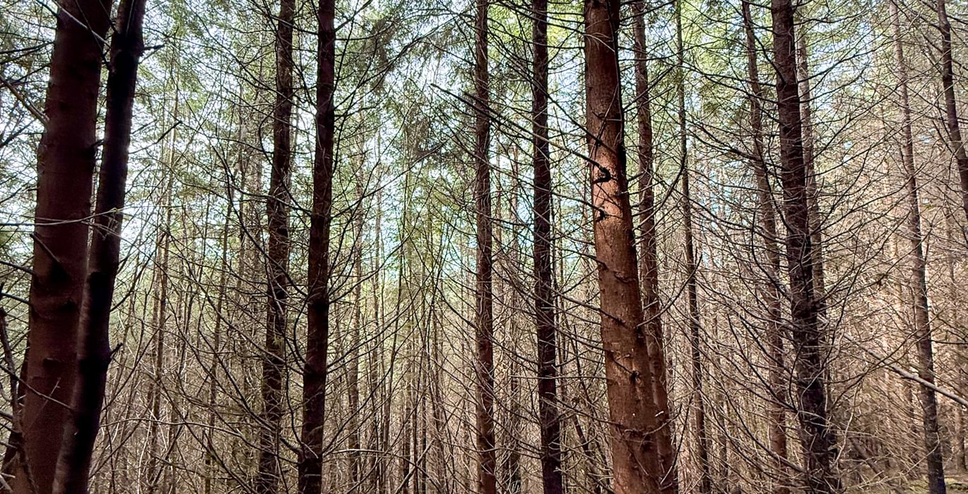 80 Photo Feb 26 2026 2 26 17 PM