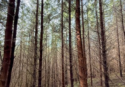 80 Photo Feb 26 2026 2 26 17 PM