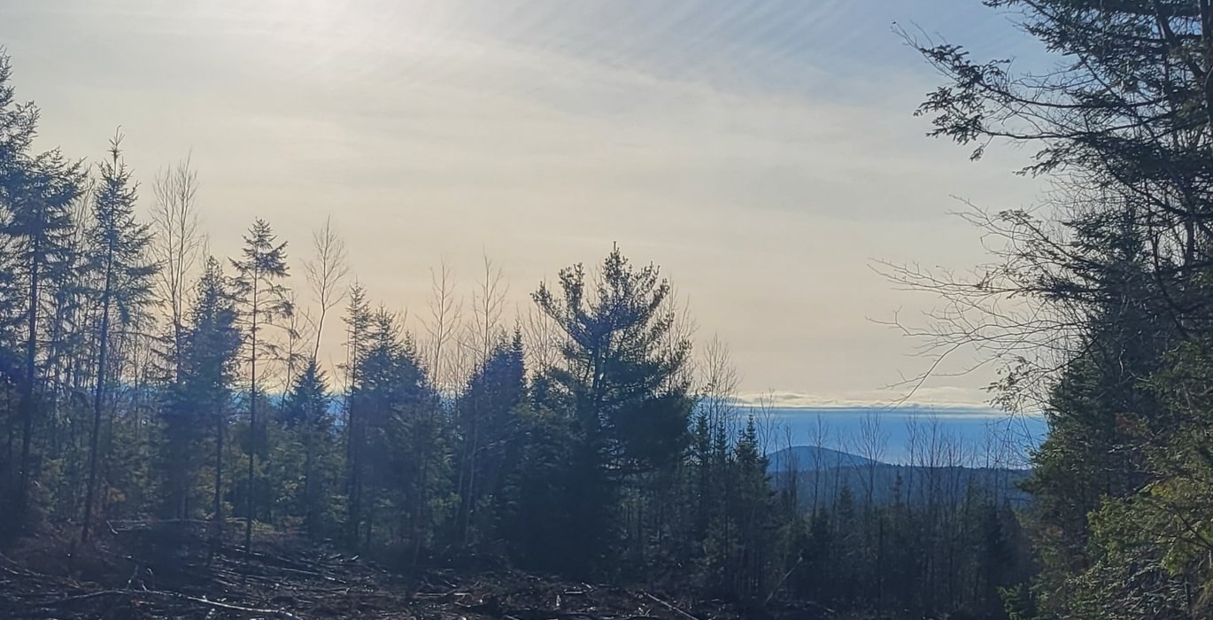 80 road with view