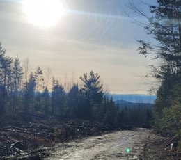 80 road with view