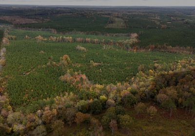 810 AFM Richmond 126 Tract Photo 1