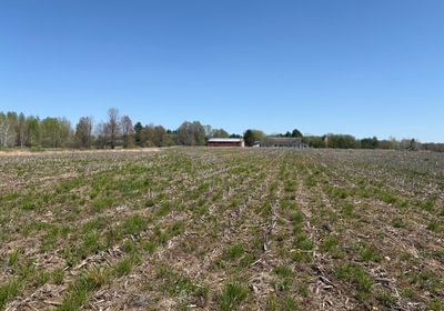 810 IMG 8005