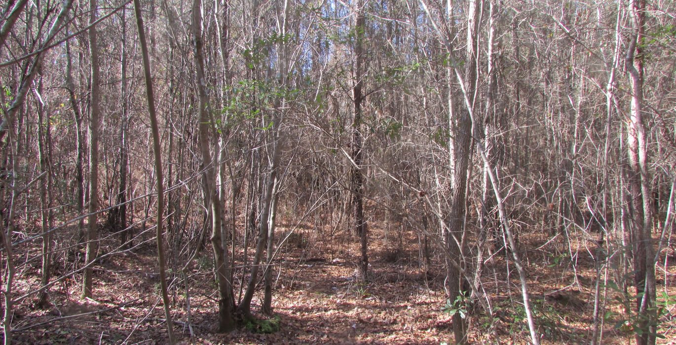 813 IMG 0565