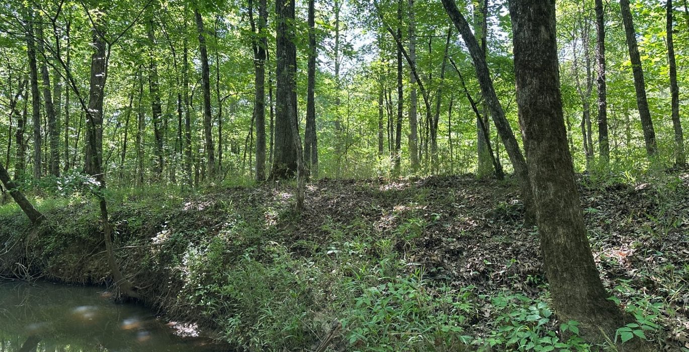 813 IMG 1202