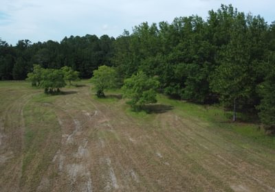 814 DJI 0954