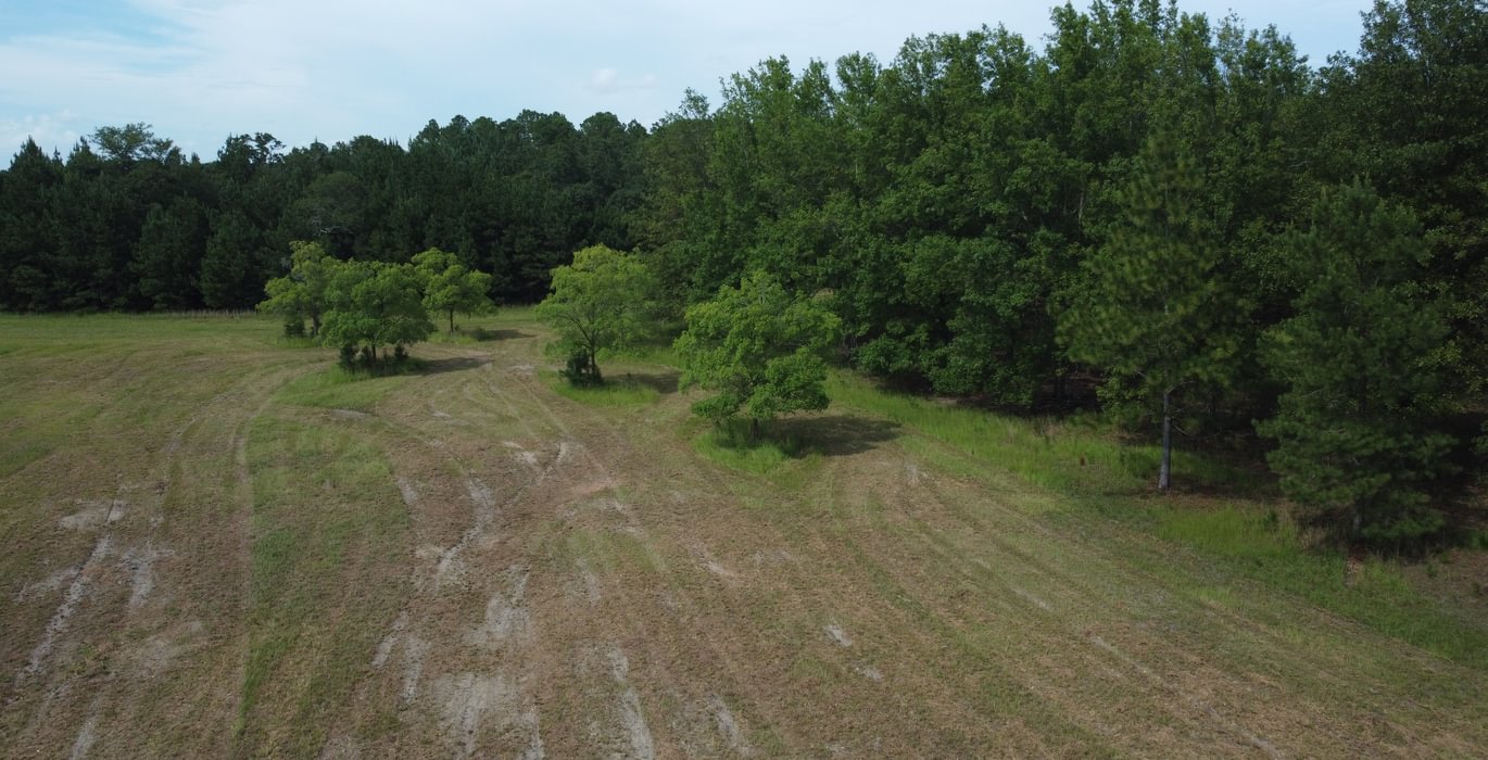 814 DJI 0954