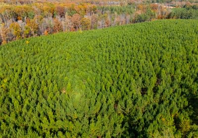 817 DJI 20251104140440 0071 D