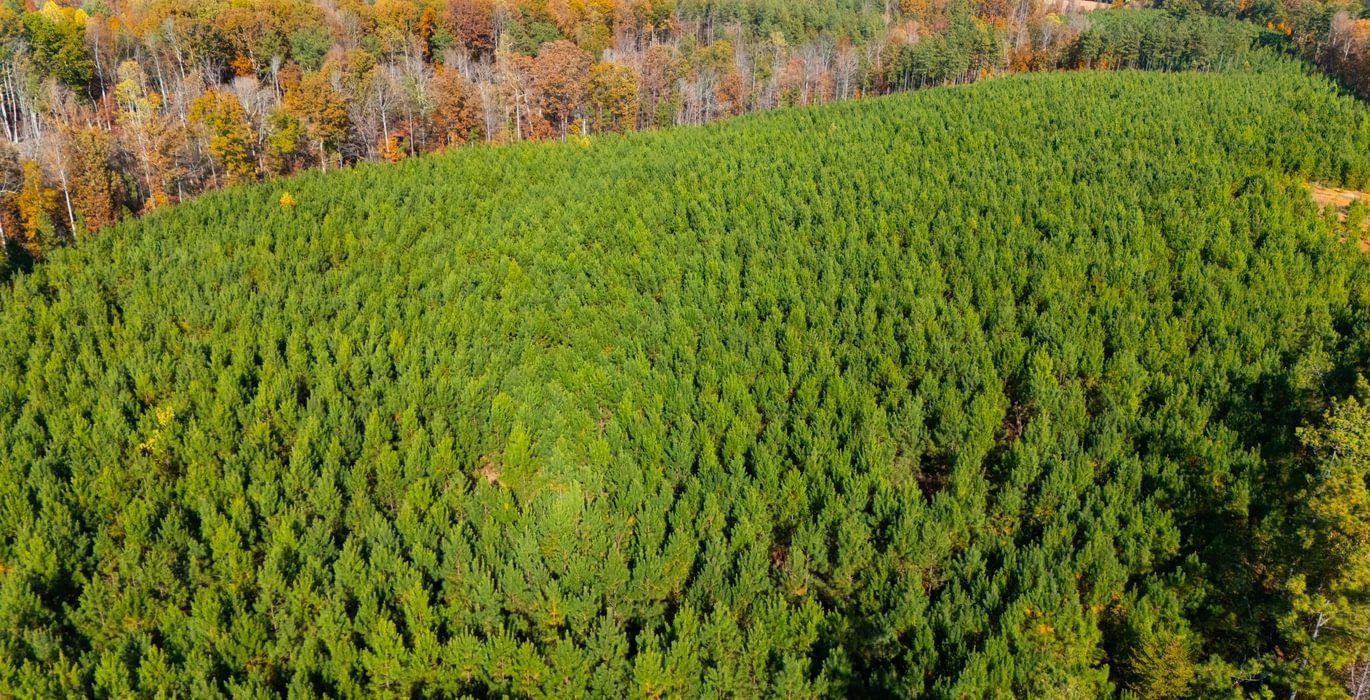 817 DJI 20251104140440 0071 D