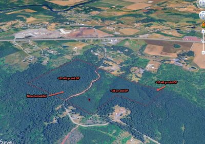 817 Overview with labels