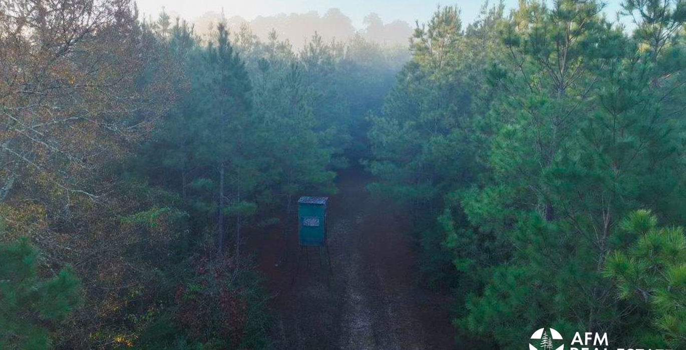 819 DJI 20250201074410 0033 V