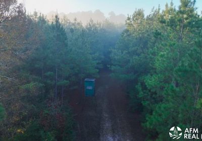 819 DJI 20250201074410 0033 V