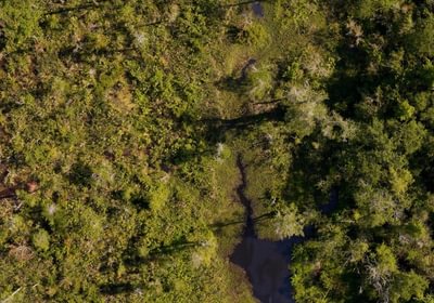 81 Beaverdam Creek Photo 25