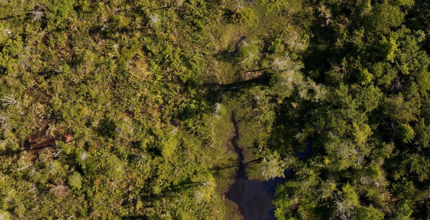 81 Beaverdam Creek Photo 25