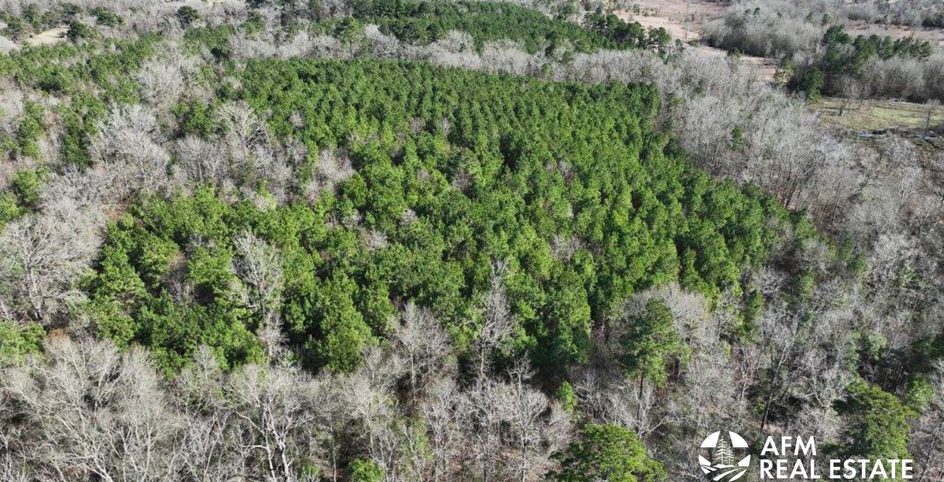 820 DJI 20250201142732 0014 V