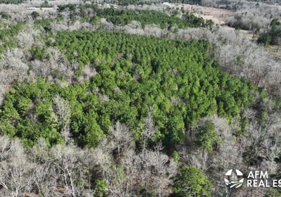 820 DJI 20250201142732 0014 V