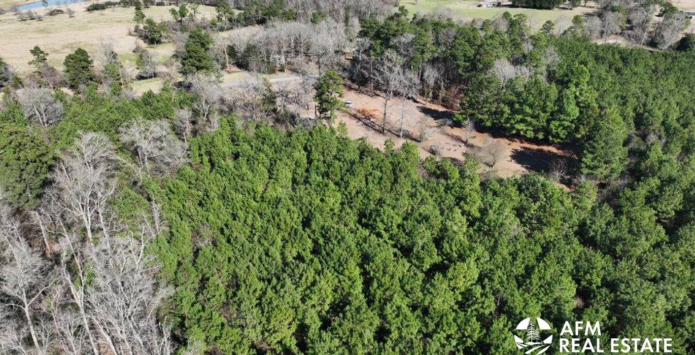 820 DJI 20250201142807 0019 V