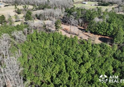 820 DJI 20250201142807 0019 V