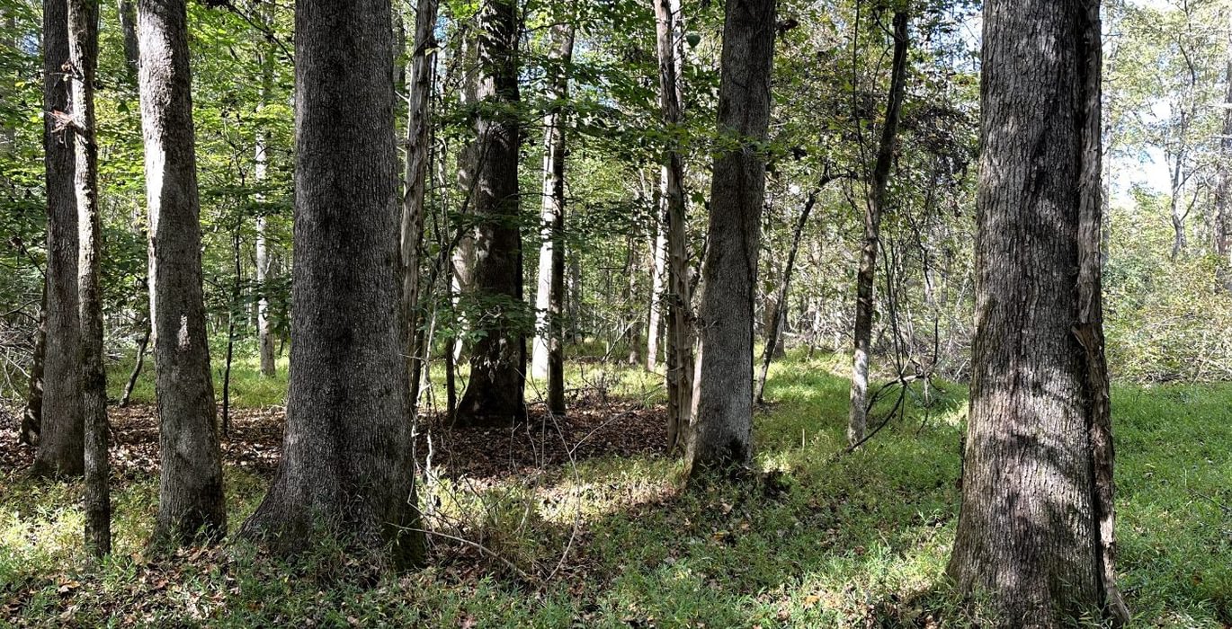 822 IMG 7990