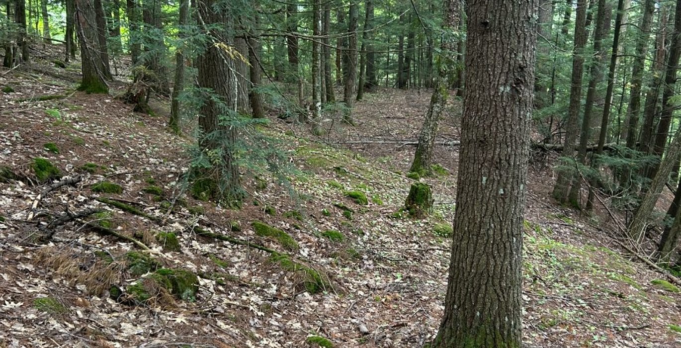 823 IMG 3168