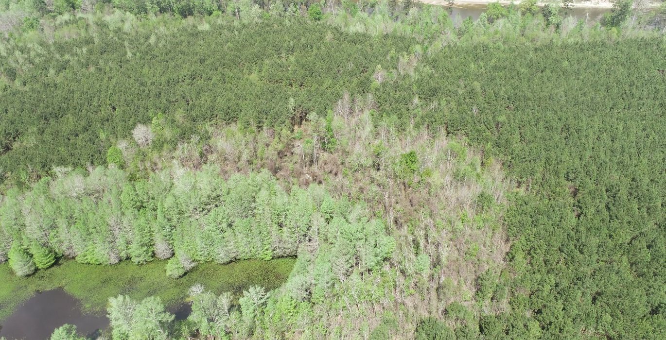 825 DJI 0406