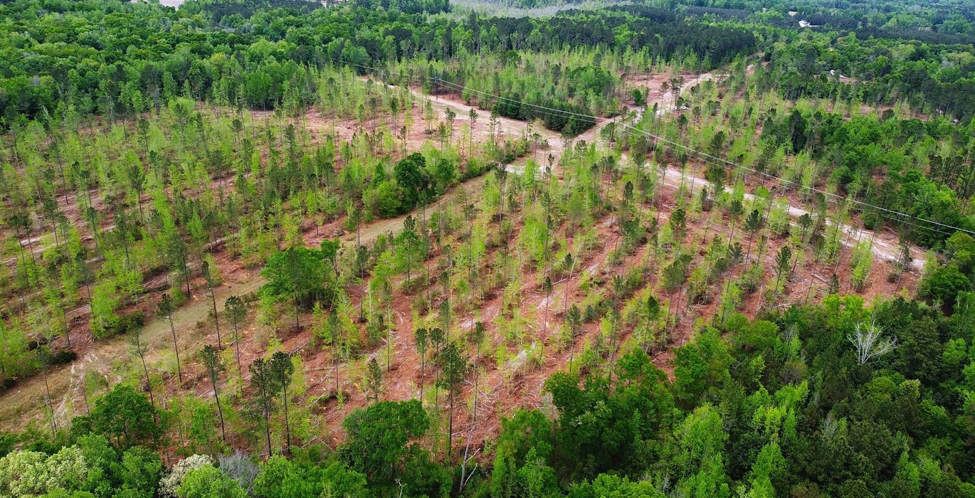 825 dji fly 20260407 145248 215 1775588079391 photo optimized