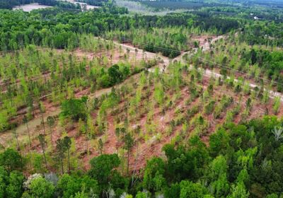 825 dji fly 20260407 145248 215 1775588079391 photo optimized