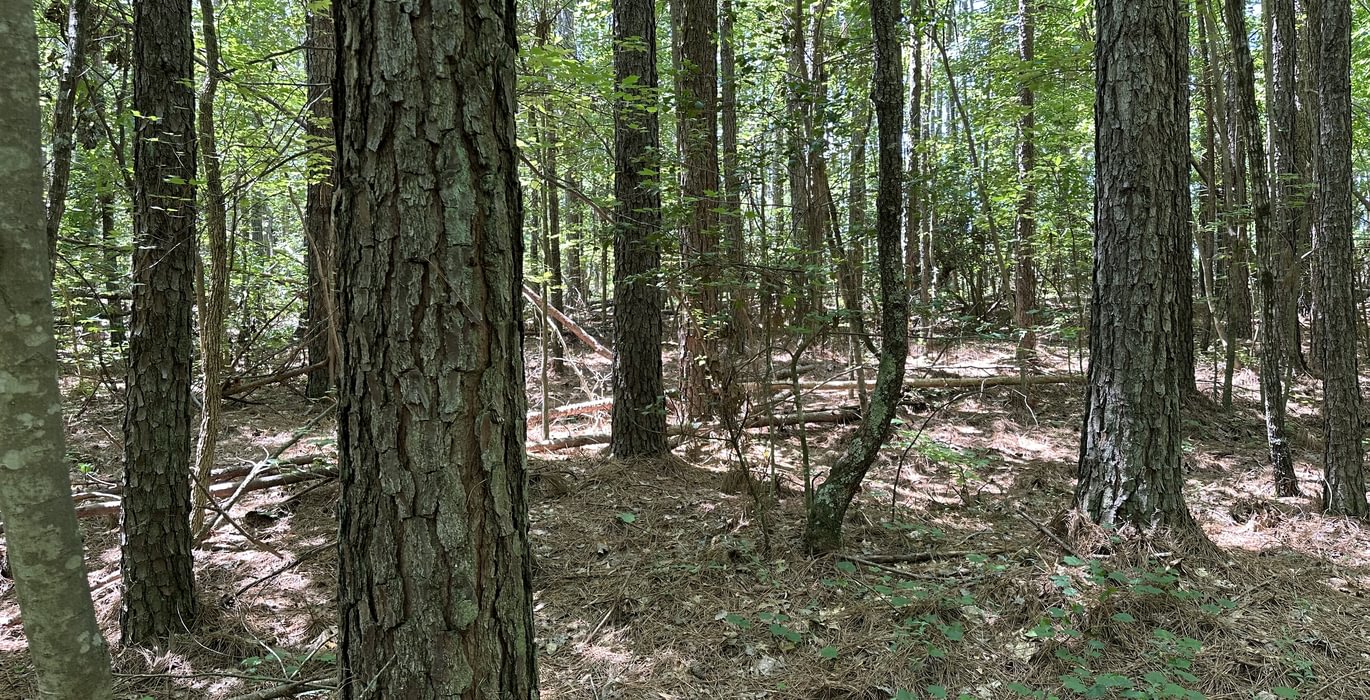 827 IMG 5818