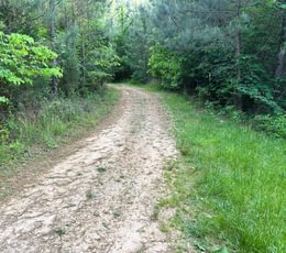 827 a IMG 1034