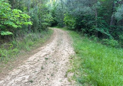 827 a IMG 1034