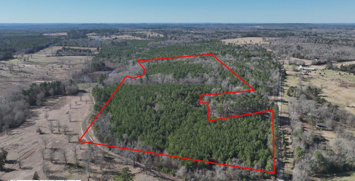 828 DJI 20250201142457 0003 V