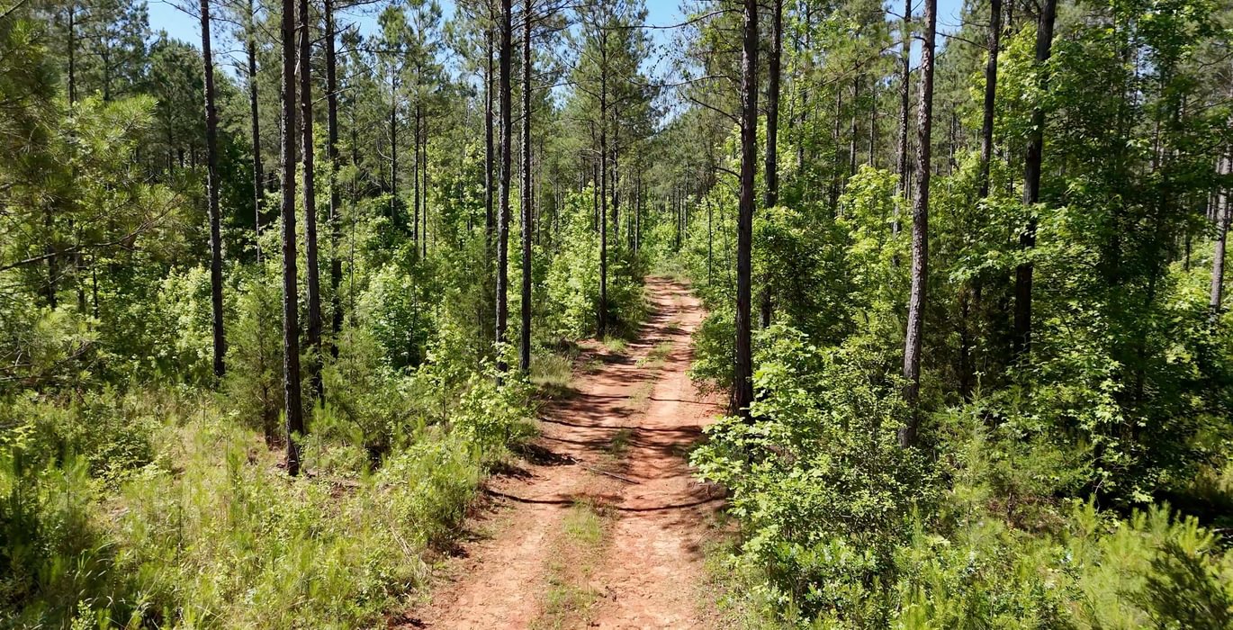 828 Horton Tract Photo 33