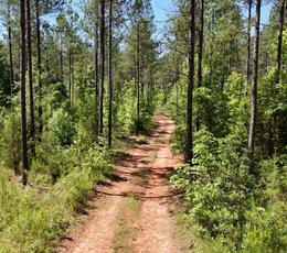 828 Horton Tract Photo 33