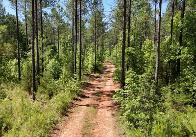 828 Horton Tract Photo 33