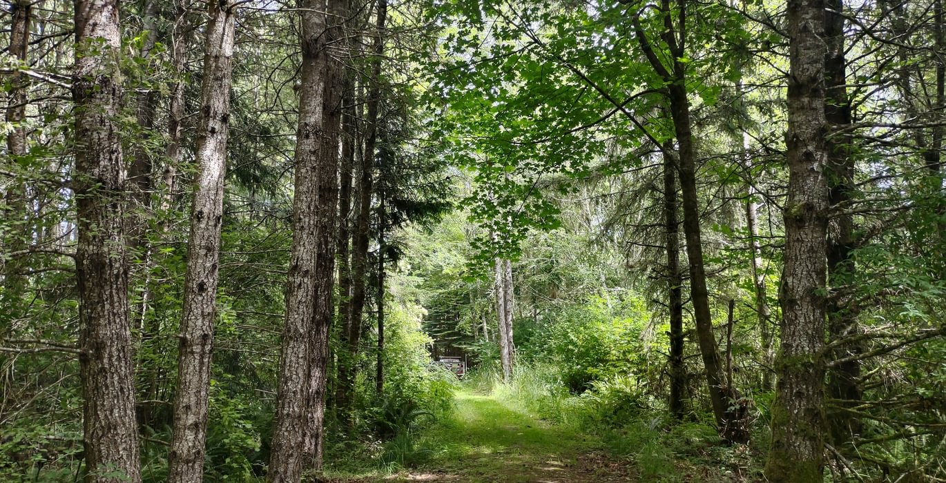 828 IMG 20250710 122518155 HDR 1