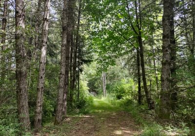 828 IMG 20250710 122518155 HDR 1