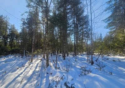 829 5 North lot