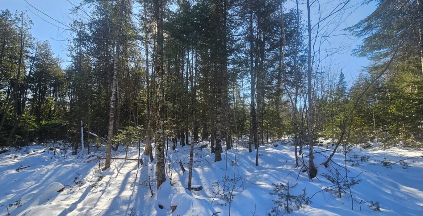 829 5 North lot