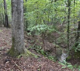 829 a IMG 7142