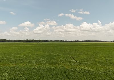 82 DJI 20250618142915 0152 D
