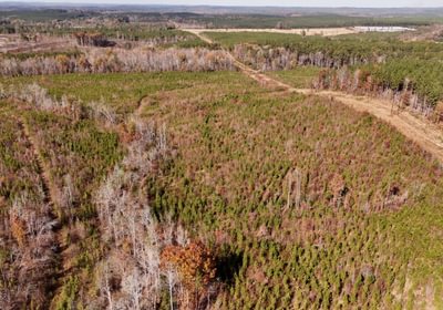 830 AFM Crump Farm Photo 6