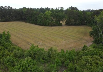 830 DJI 0263