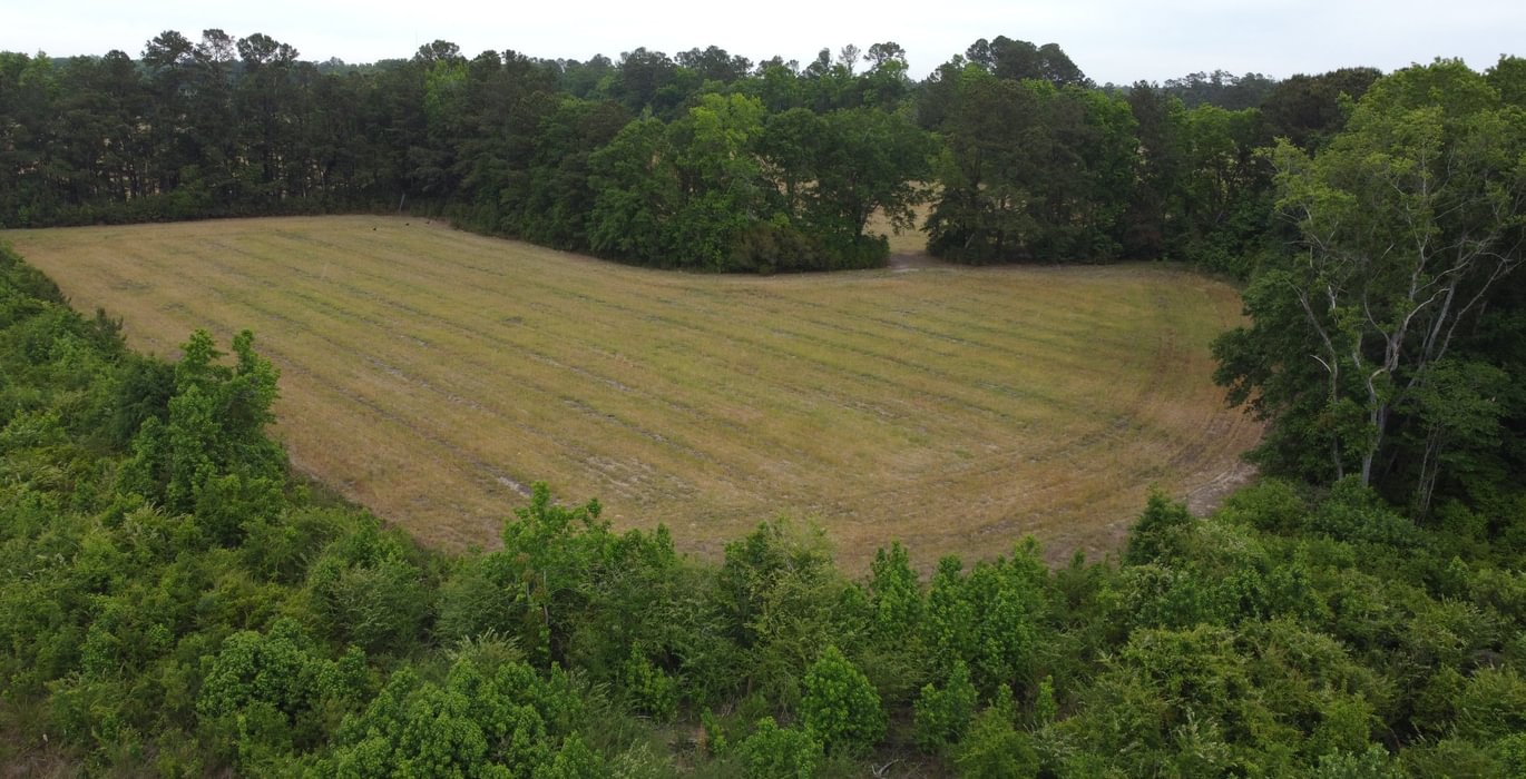 830 DJI 0263