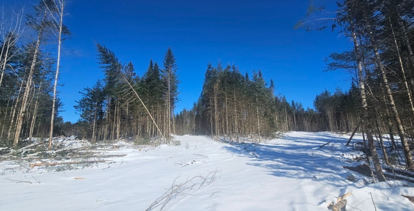 831 18 North section woods road 2