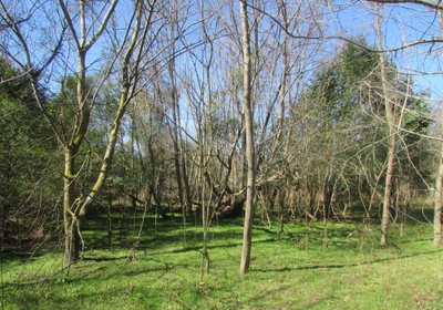 831 IMG 0573