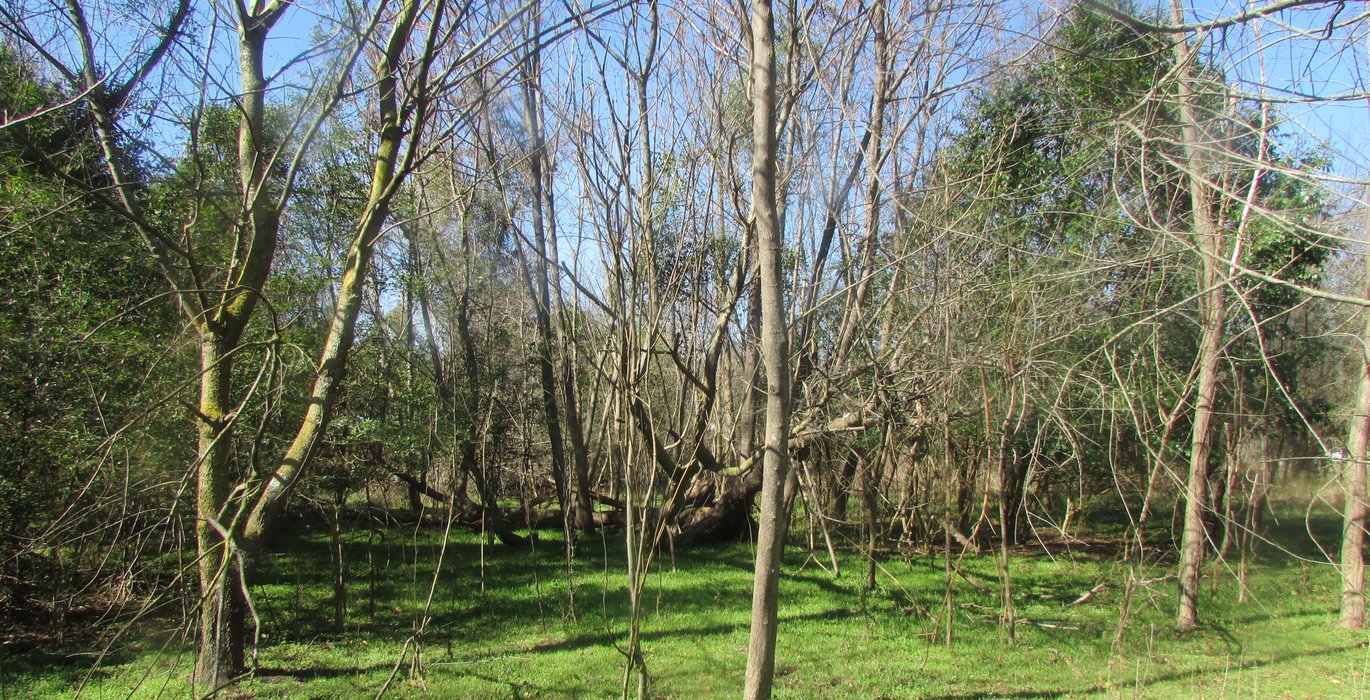 831 IMG 0573