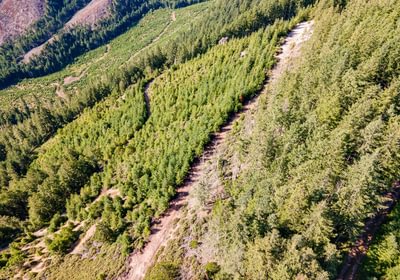 833 DJI 0829 HDR25